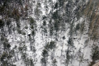 Patriata, Murree