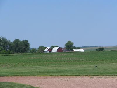 Field of Dreams