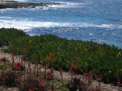 la jolla
