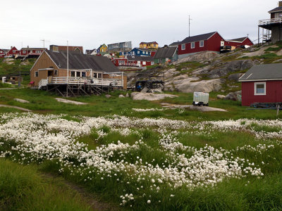 B006301.jpg