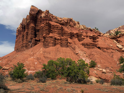 Ph2122.jpg