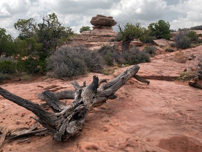 Ph2154.jpg