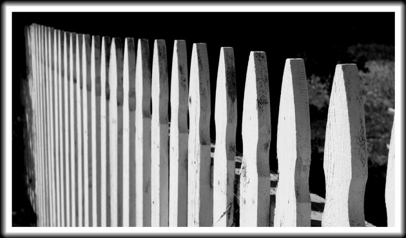 Fence, Spreckels, California