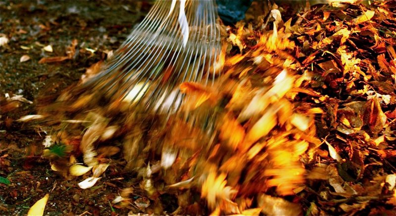 The Last Day of Autumn - Northern California