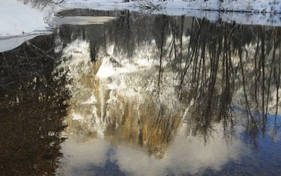 Reflection in the Merced River