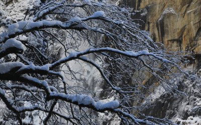 Winter Scene in Yosemite