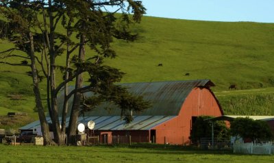 Red Barn in a Green Landscape
