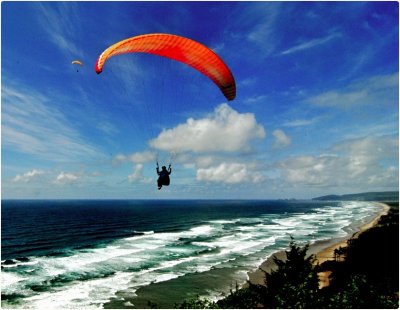 Paragliders