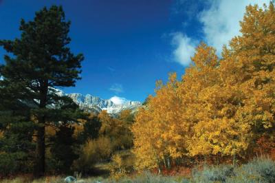 Sierra Nevada East Side, Autumn 2005