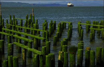 Remains of an old Pier, Astoria