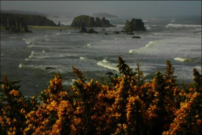 The Islands off of Bandon