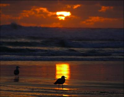 Cannon Beach