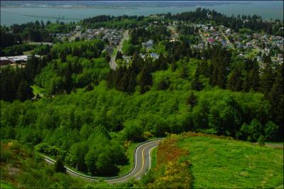 View of Astoria From the Column