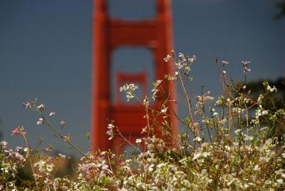 Golden Gate National Parks Family Camping Trip - Rob Hill