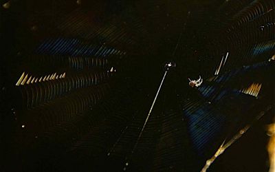 A Spider, its Web and Diffraction