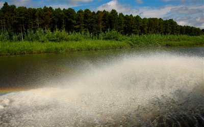 Boat Wake Along Plantation Country