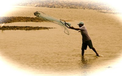 Casting a Net