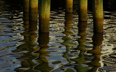 Pier Pilings, Georgetown