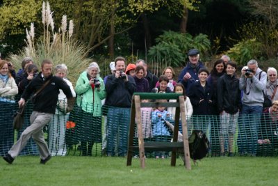 Bird of Prey Show