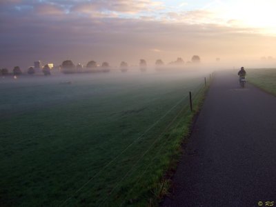 Holland 2007