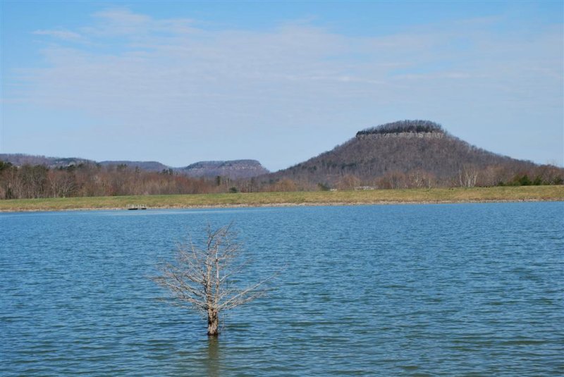 Cypress at Owsley Lake