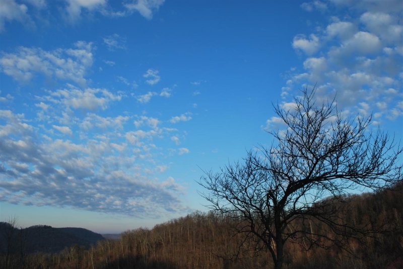 Morning Sky