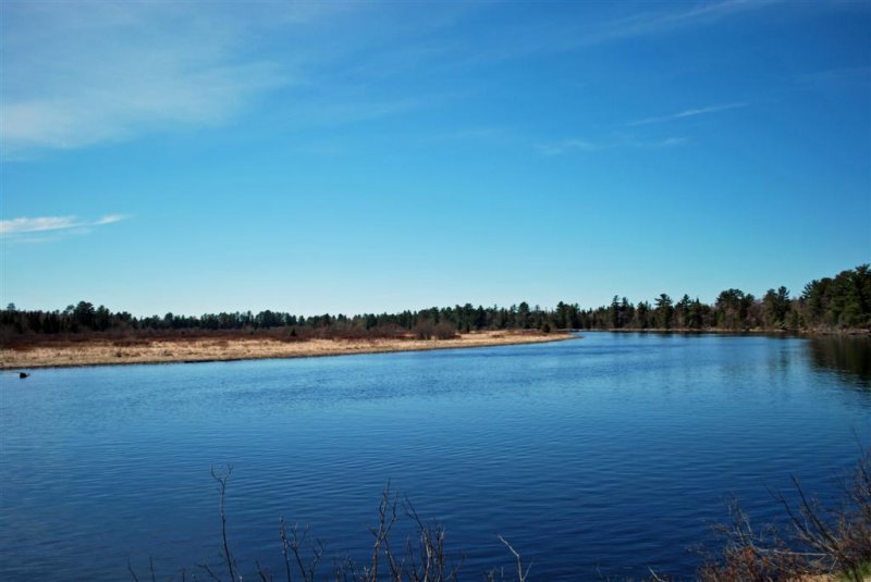 Tahquamenon River