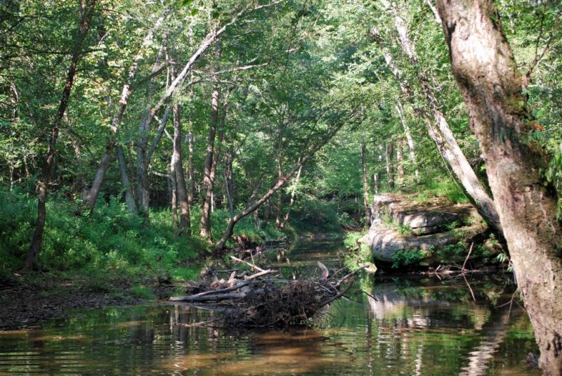 Horse Lick Creek