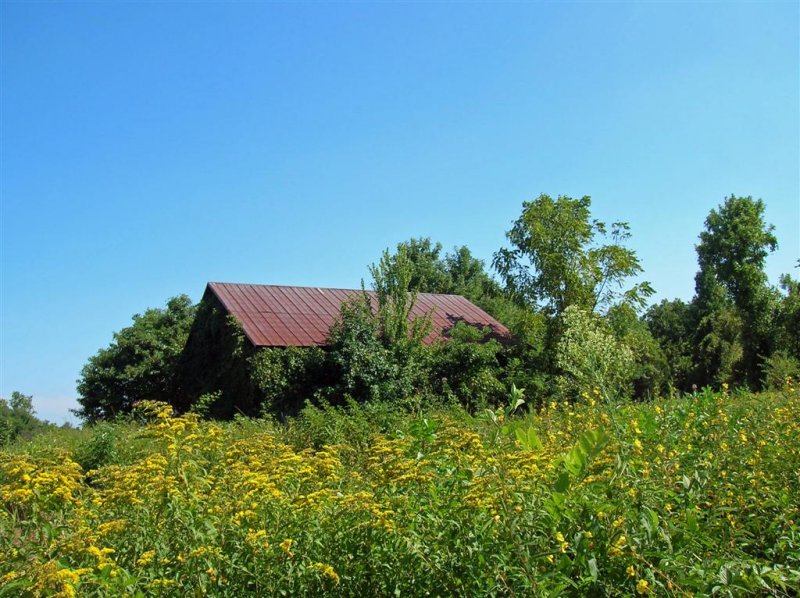 Old Barn