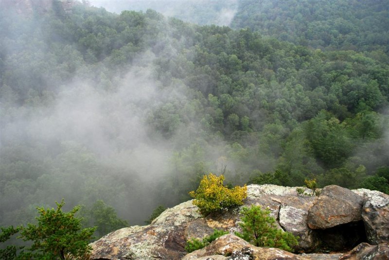 Rock and Mist