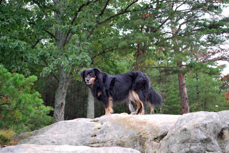 Chazzy Takes the High Ground