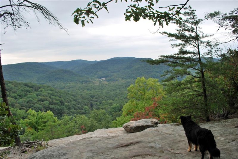 Enjoying the View