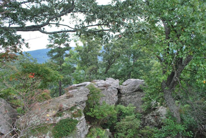 Oak and Stone