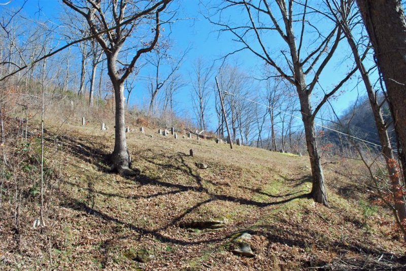 Elisha Lester Cemetery