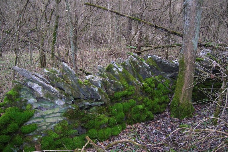 Old Stone Walls