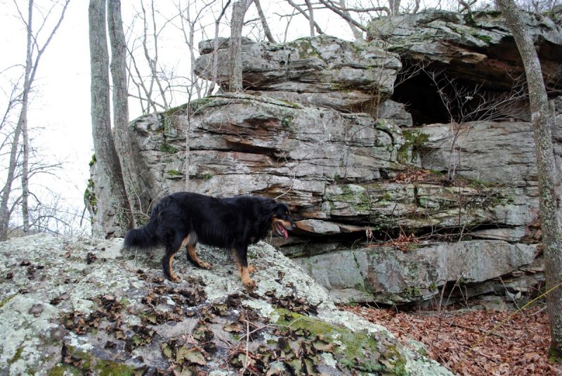 Chazzy Explores Rocks