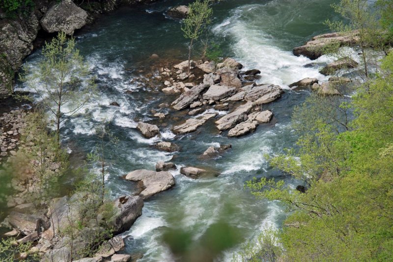 Russell Fork Rapids