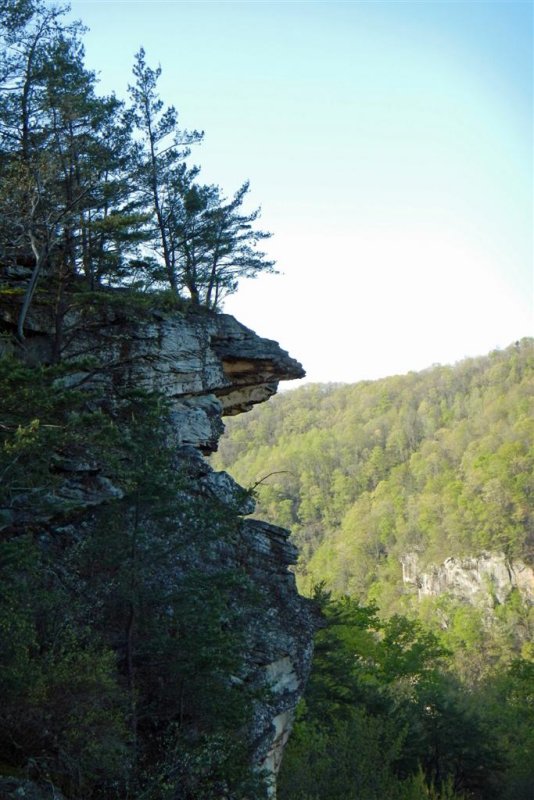 Into the Gorge