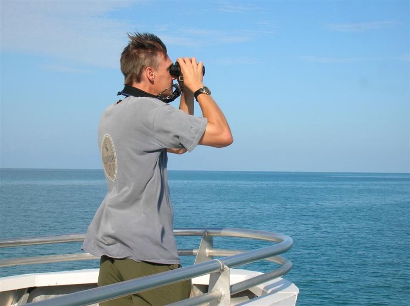 Scanning for Pelagics