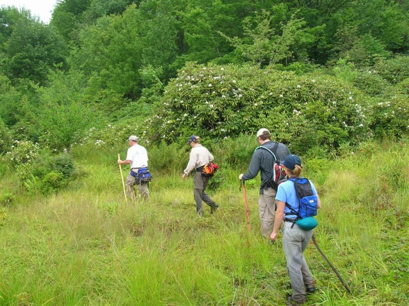 Trekking On