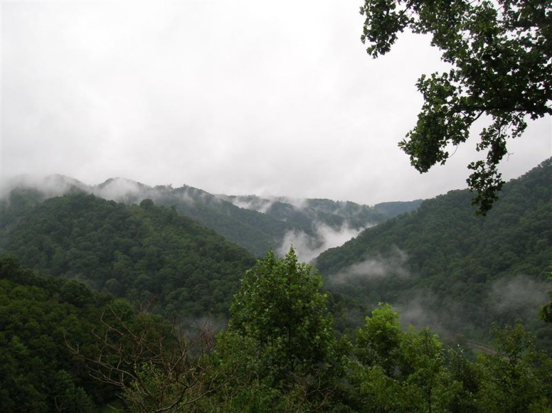 Appalachian Fog