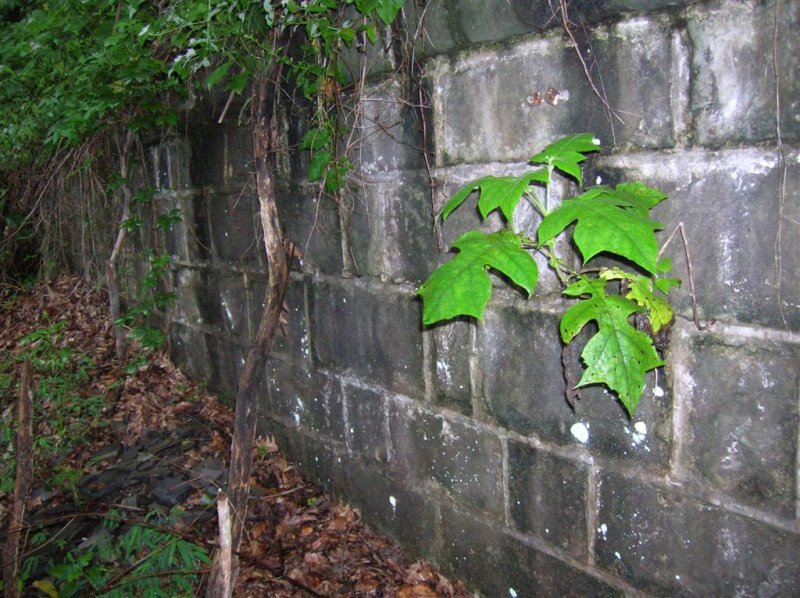 Stone Wall