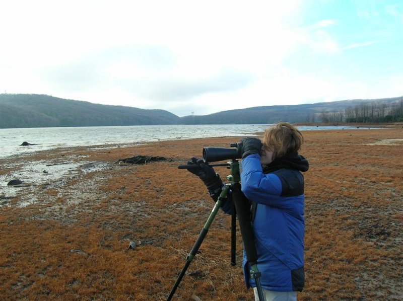 Michelle Scans for Ducks