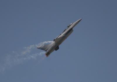 IMG_5176.jpg