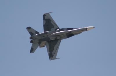 IMG_5208.jpg