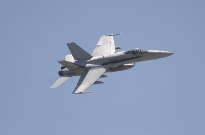 IMG_5231.jpg