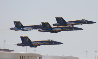 IMG_5262.jpg