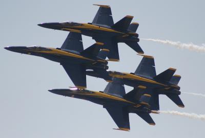 IMG_5270.jpg