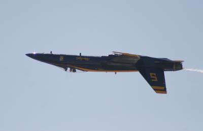 IMG_5280.jpg