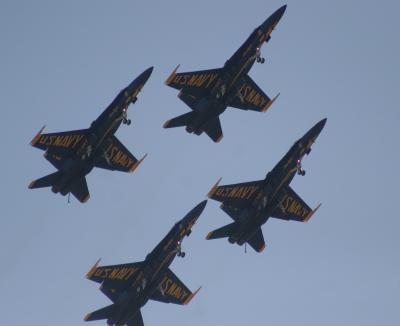IMG_5290.jpg